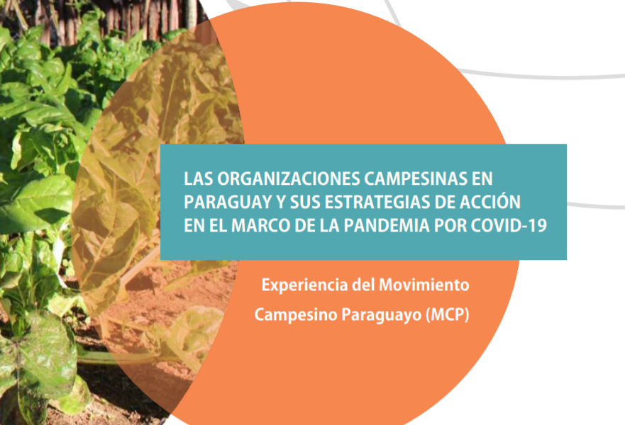 Estrategias de acción del MCP