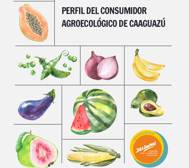 Perfil del Consumidor